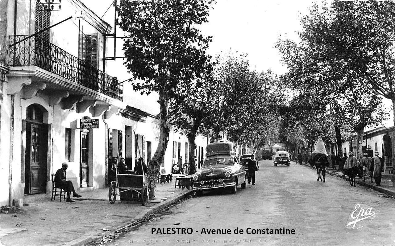 97- Palestro - Avenue de Constantine.jpg